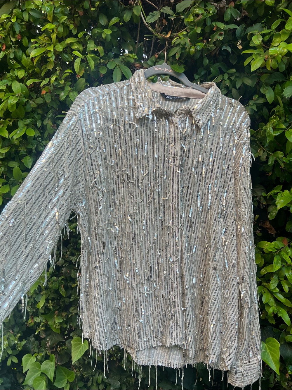 Zara Silver Fringe Sequin Collared Top